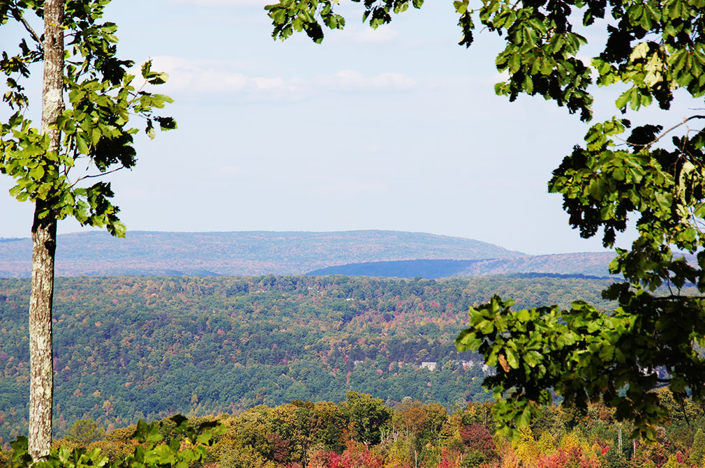 Tennessee Homes With Acreage For Sale